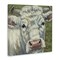 Stupell Industries Pearl Of The Pasture Canvas, design by Sara G. Designs